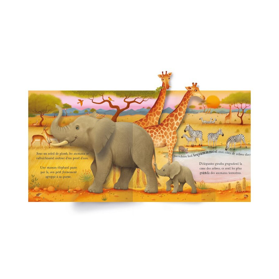 Mon livre Pop-up - Les animaux - Extrait du livre 02 -Editions Usborne