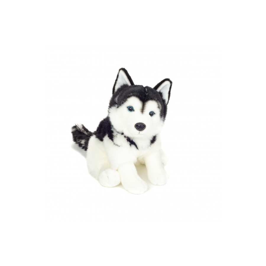 chien-husky-Teddy-Hermann-Collection